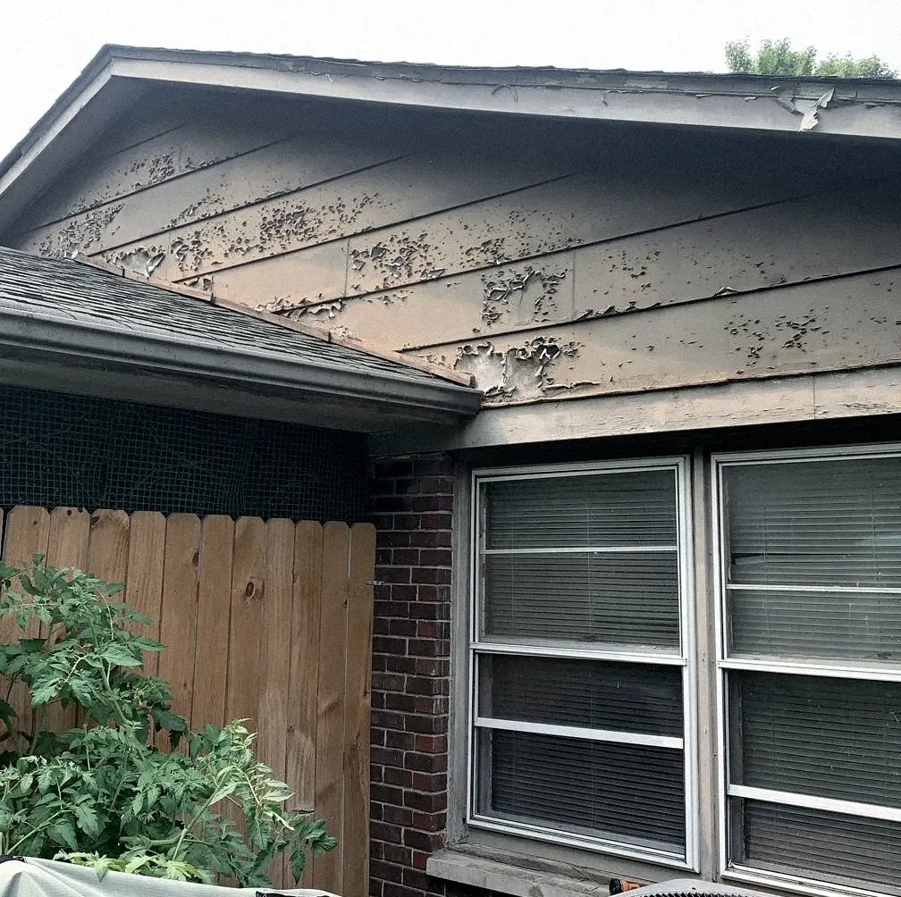 Gray-brown lap-siding gable with paint peeling in patches, two windows with blinds below, a wood fence and tomato plants at the left.
