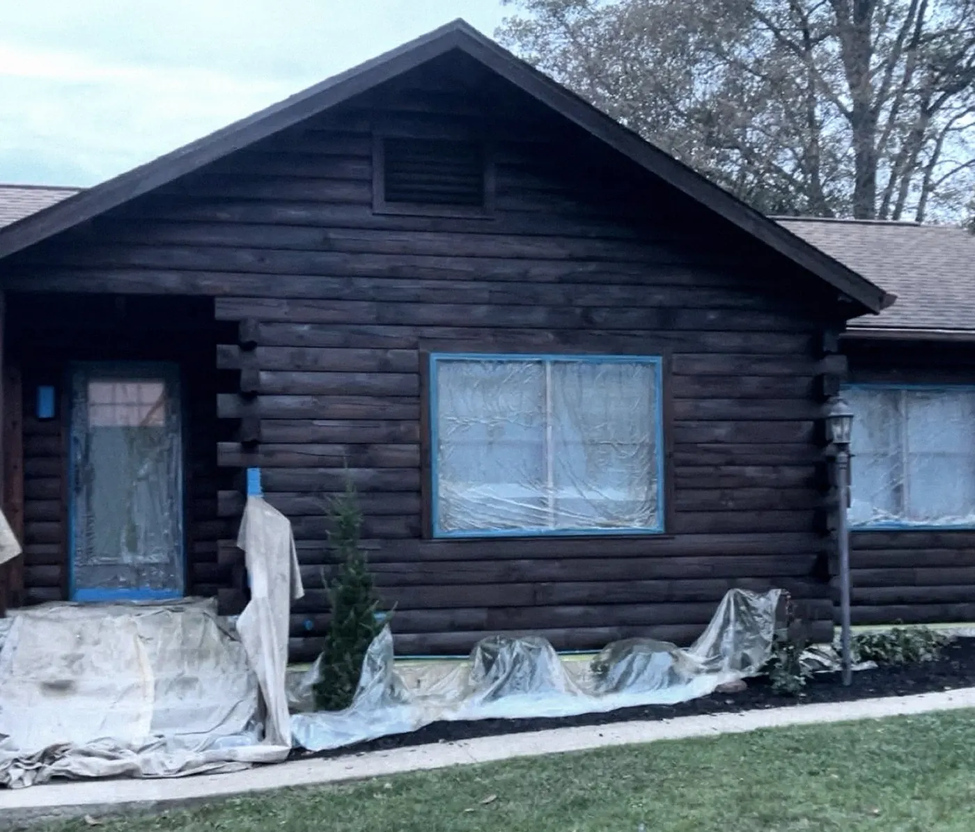 Front of a log home with a masked front door and window, drop cloths and plastic along the base, dark brown stain.